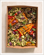 Composition Légumes Grillés